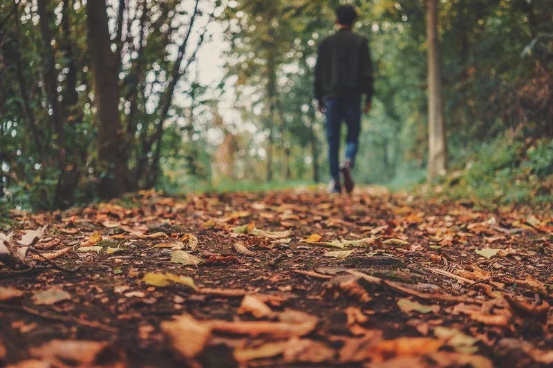 Balade nature "Hommes et espèces sauvages une cohabitation possible"