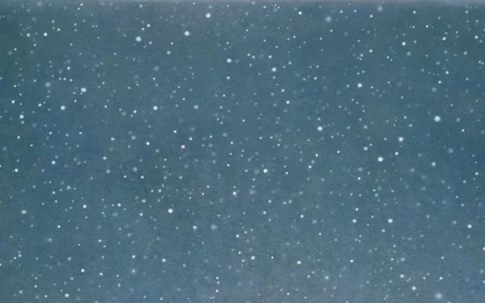 Contrepoint contemporain. Vija Celmins