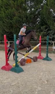 Poney club de Carmantran : inscrivez-vous