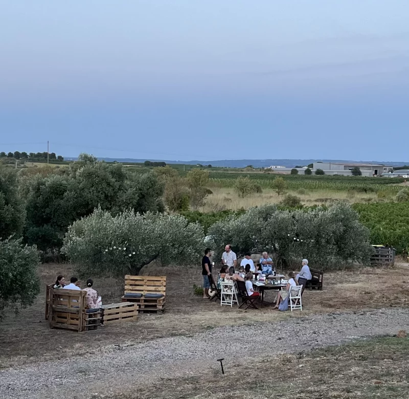 SUNSET PARTY