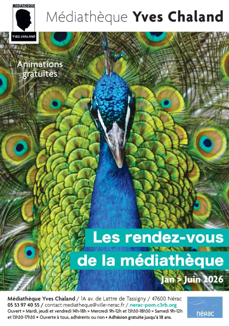 Lectures en miroir