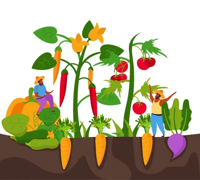 Atelier jardinage : Bouturage sur bois aoûté