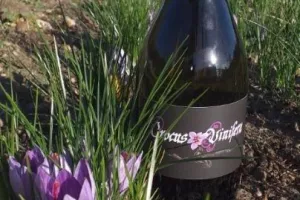 Patrimoine et savoir-faire : Montlouis-sur Loire et Du safran et des vignes