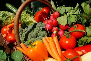 Marché d'été à la ferme de la Reversaie