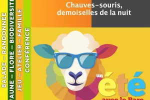 CÉVENNES - Chauves-souris, demoiselles de la nuit