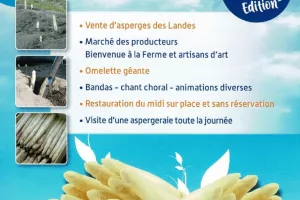 Fêtes de l'Asperge