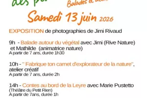 À la découverte des plantes sauvages