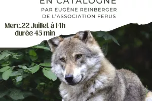 ATELIER LES LOUPS EN CATALOGNE
