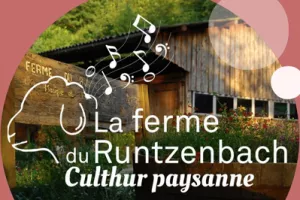 Concert à la ferme du Runtzenbach : Jamie McLean