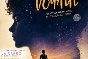 Voyage Voyage