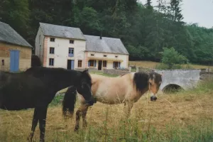 Visite du moulin de Marnay