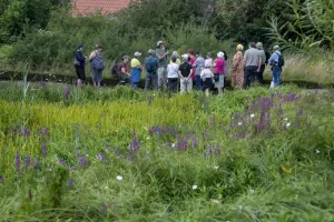 VISITE DU JARDIN DES PLANTES MEDICINALES "ANDRE CAUDRON"