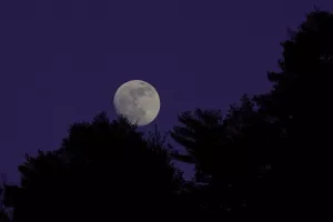 UN ÉTÉ AVEC LE PARC : PLEINE LUNE SUR LE MONT LOZÈRE