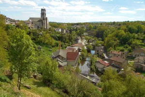 Jardins en péril. Que sont nos jardins devenus ?