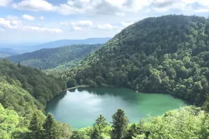 Club Vosgien : Les lacs des perches et de Neuweiher