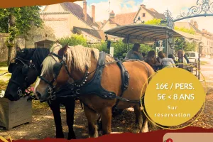 Balade en calèche commentée du Domaine de la Ferté-Vidame