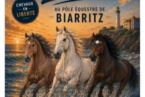 Harmonie - Spectacle Equestre