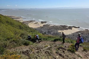 Expérience de Destination : la Baie du Mont Saint-Michel entre Terre et Mer