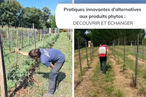 Pratiques innovantes d'alternatives aux produits phytos : découvrir et échanger