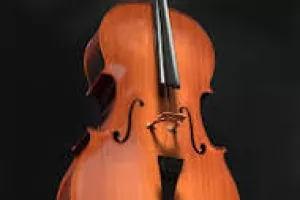 Concert de violoncelle par les élèves de Vincent Noblesse
