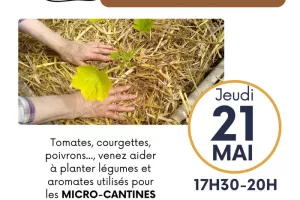 Plantations festives !