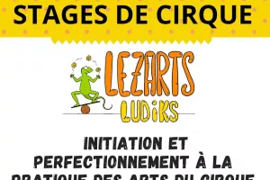 Stage des arts du cirque avec Lezarts Ludiks