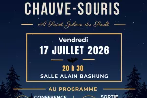 Nuit de la chauve-souris