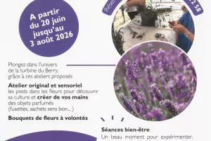 Atelier immersion les mains dans les fleurs