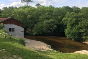 Visite exceptionnelle du moulin de Caussarieu