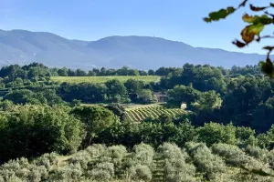 Moulin du Grand Cèdre - Bastide du Laval