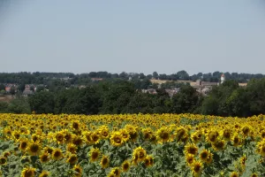 Randonnée gourmande à Culan