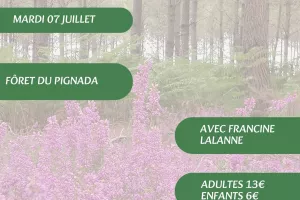 A la découverte des plantes sauvages, médicinales et comestibles avec Francine