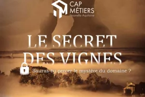 Serious game: Le secret des vignes