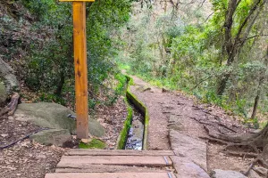 BALADE NATURE ET PATRIMOINE "LA FORGE MURMURE"