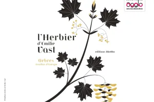 Exposition - Les herbiers d'Emilie Vast