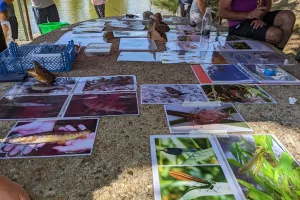 Etang de Chaux : Animations famille "Atelier pêche"