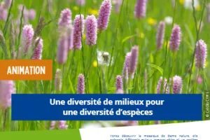 Sortie nature "Une diversité de milieux pour une diversité d'espèces"