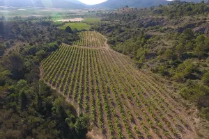 DOMAINE VINÉA ADRIAN - DE FERME EN FERME EN VAL DE DAGNE