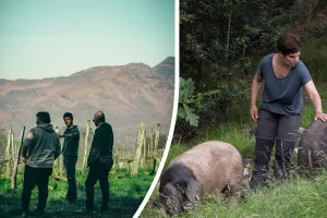 Immersion en territoir basque : Plongez au cœur du modèle coopératif basque avec Belaun et La Cave d’Irouléguy