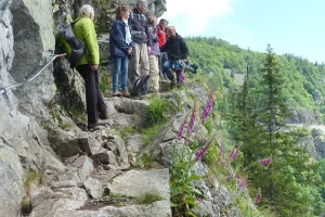 Club vosgien: Falimont - Sentier des Roches
