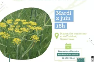 Conférence — Plantes médicinales bretonnes