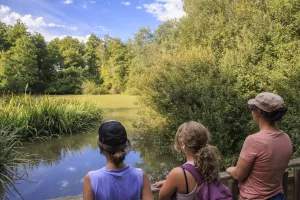 RDV nature 64, promenade en paysages d'eaux