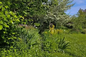 Visite du Jardin d'Artiste