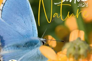 Sortie Nature : Les Mal-Aimés