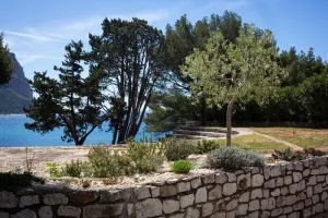 Visite découverte du jardin méditerranéen