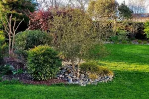 Jardin de LMG - Rendez-vous aux jardins