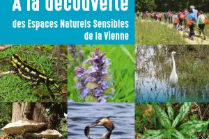 A la découverte des Espaces Naturels Sensibles de la Vienne - Le petit peuple de la forêt de Scévolles