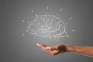 Mieux comprendre comment fonctionne notre cerveau