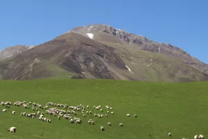 Randonnée : Orhi, le toit du Pays basque