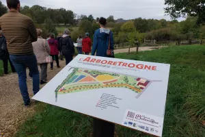 Taille d’été et suivi sur les arbres de l’Arboretrogne à Boursay